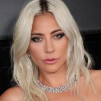 Celebs project thumbnail