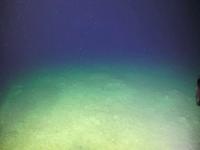 Deep sea transect project thumbnail