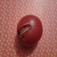 rottenfruitsandvegetables project thumbnail