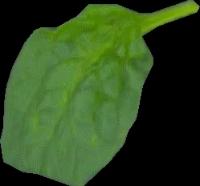 Spinach2 project thumbnail