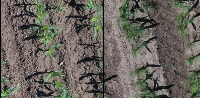 emgMaisfeld project thumbnail