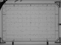 Tejia_larvae project thumbnail
