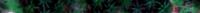 oil palm annotation project thumbnail