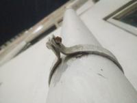 pipe_clamp_detection project thumbnail