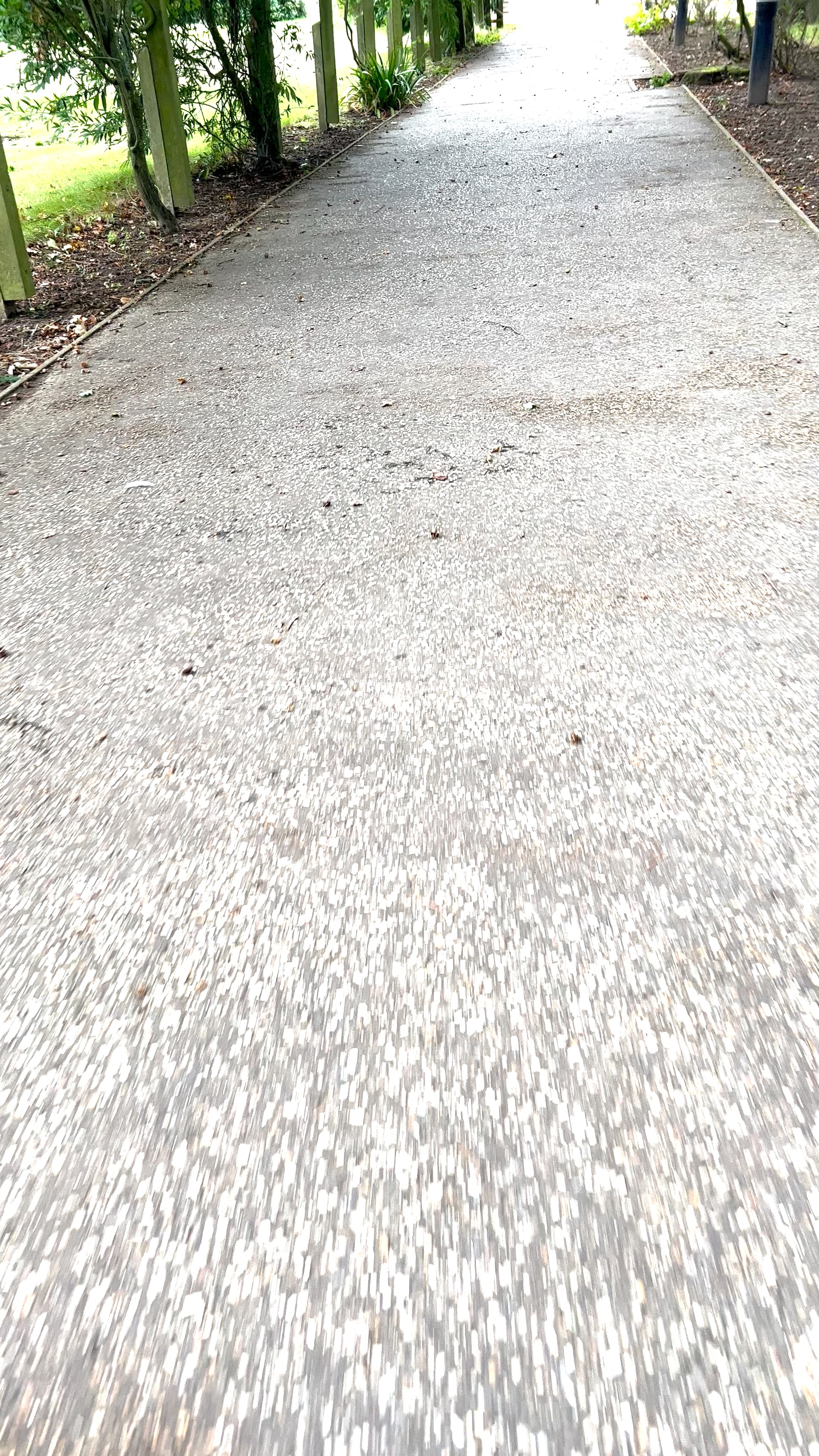 Borderless Aggregate Path Path segmentation - Roboflow Universe