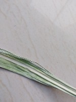Sugarcane Leaf disease project thumbnail