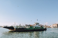 ferryboat project thumbnail