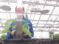 qr_codes project thumbnail