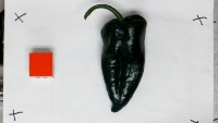 Pose_Estimation_peppers project thumbnail