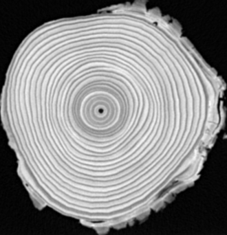 inference_rb_5th Object Detection Dataset by NRCan
