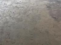 sunday project thumbnail