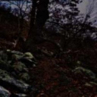 helloworld project thumbnail
