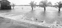 floods project thumbnail