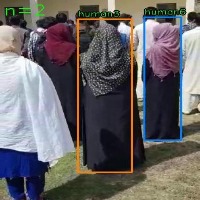 Yaya Algılama Projesi project thumbnail