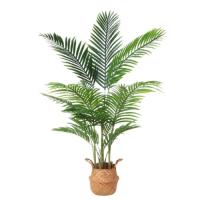 Plant Detection project thumbnail