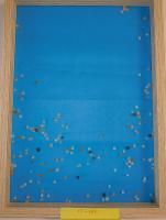 combined_nurdles_2 project thumbnail