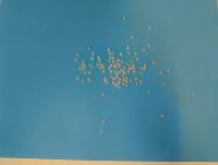 Nurdles project thumbnail