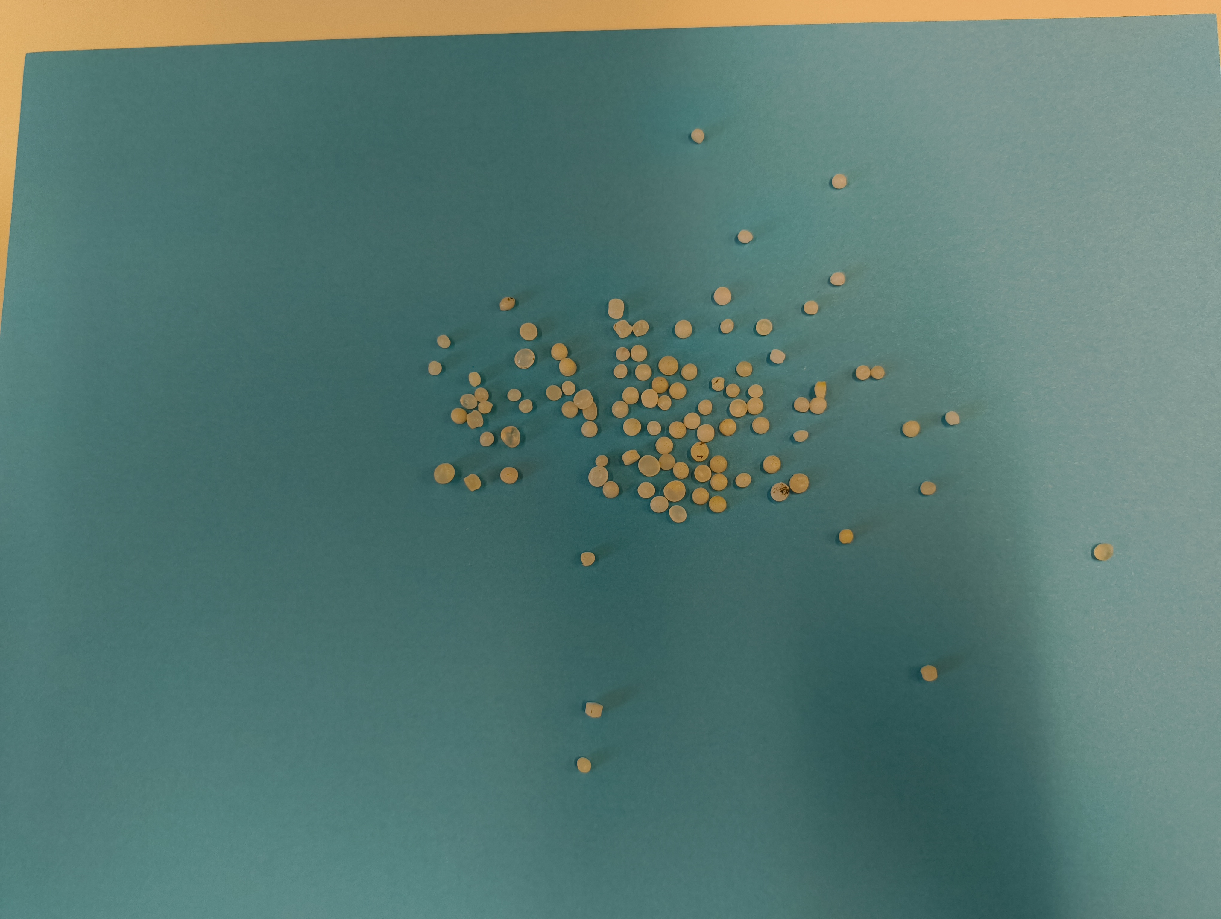 Segmentation model Instance Segmentation Dataset by Baot
