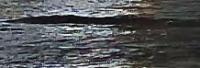 vessel_detection_2 project thumbnail
