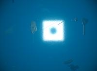 seg1 project thumbnail