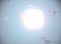 seg5 project thumbnail