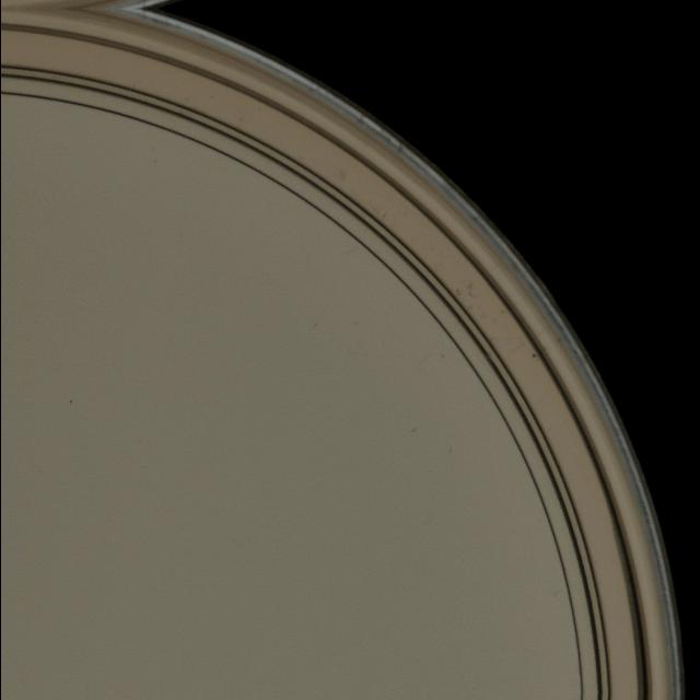 Colony Counting Petri Dish Classification Model by test