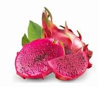 dragonfruit project project thumbnail