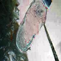 underwater Object Detection Model by Aryan