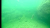 Fish Finder 5000 project thumbnail
