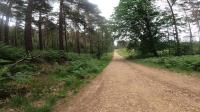 downhill project thumbnail