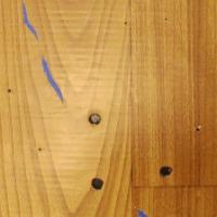 wood-defect-segmentation-csi project thumbnail