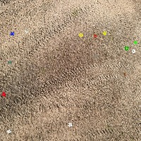 Dataset Image