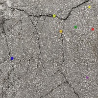 Dataset Image