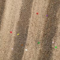 Dataset Image