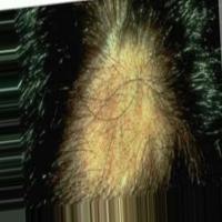 hair project thumbnail