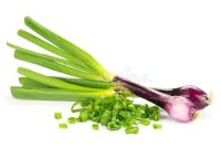 Filipino_Ingredients 2 backup project thumbnail