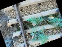 railway track Coco format project thumbnail