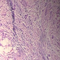 Medical_Image_Test project thumbnail