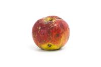 Fruit Basket project thumbnail