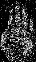 Palm_lines project thumbnail