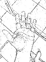Registered_palm project thumbnail