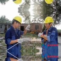 PPE 2 project thumbnail