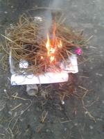 Find fires project thumbnail