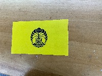 Dataset Image