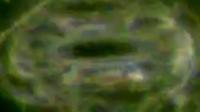 DigitalStomataBlurClassifier project thumbnail