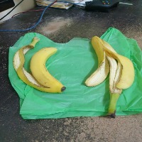 banana peel project thumbnail