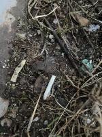 New_cigarette_butt project thumbnail