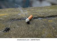Cigarette Butt Detection_Web project thumbnail