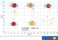 USDA Apple Collection project thumbnail