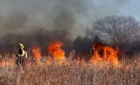 fire project thumbnail